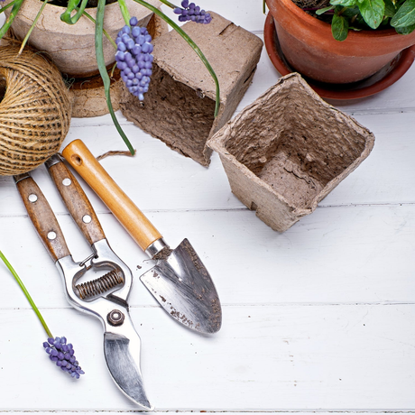 Accesorios de jardín en Disparo.cl: herramientas, maceteros, sistemas de riego y decoración. ¡Renueva tu jardín con lo mejor!