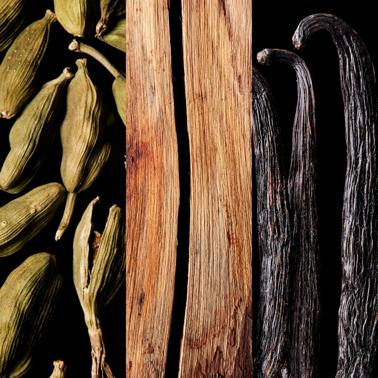 Notas aromáticas del perfume 212 Sexy Men Carolina Herrera Hombre: especias, vainilla y madera