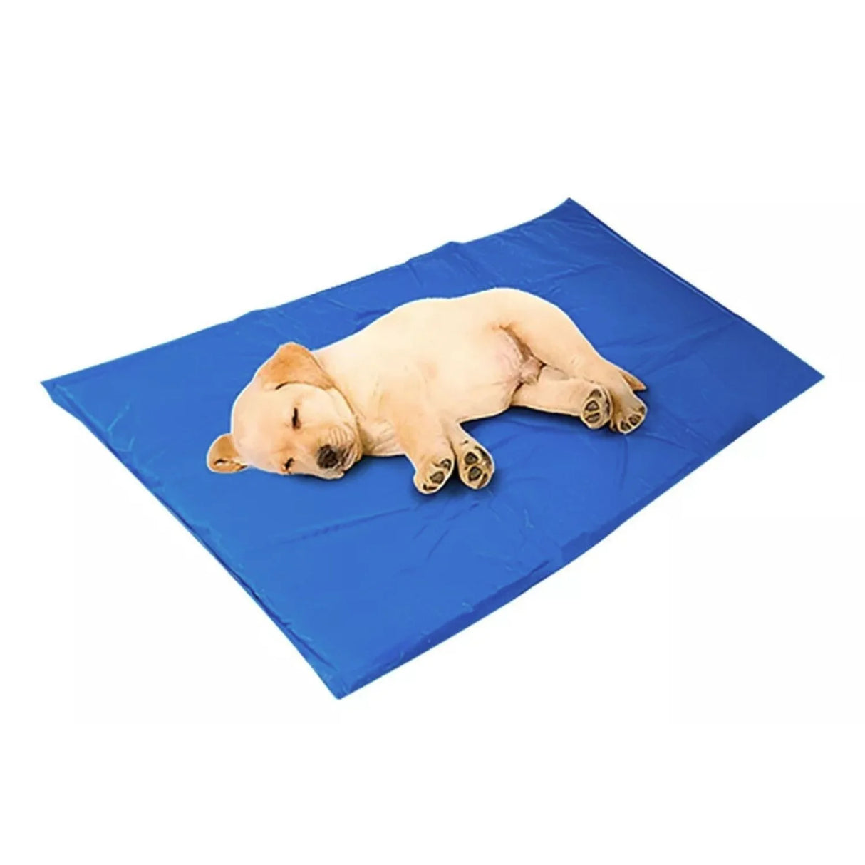 Manta Gel Mascotas Talla M 40x50cm Comodidad Refrescante
