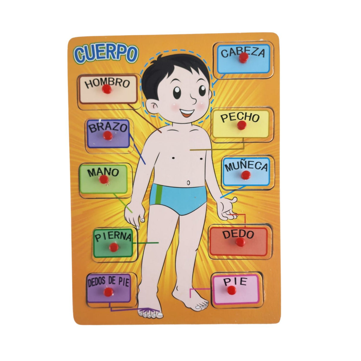 Rompecabezas Didáctico Cuerpo Hombre Madera 30cm Niños. Fomenta el aprendizaje y la creatividad. ¡Compra ahora y diviértete mientras aprendes!-1-1-1-1-1