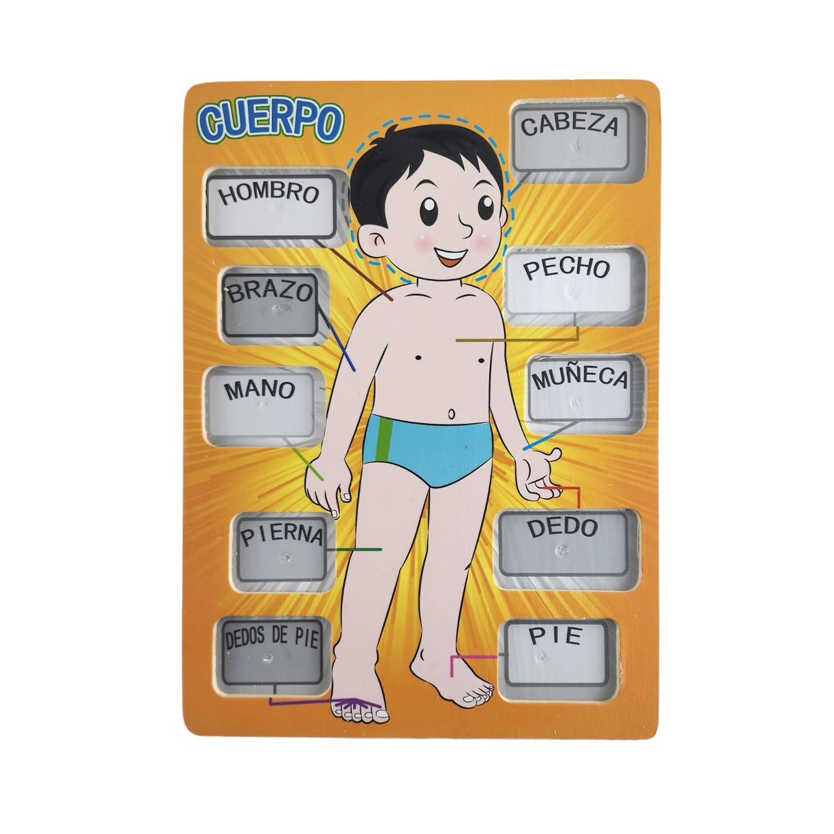 Rompecabezas Didáctico Cuerpo Hombre Madera 30cm Niños. Fomenta el aprendizaje y la creatividad. ¡Compra ahora y diviértete mientras aprendes!-1-2-1-1-1