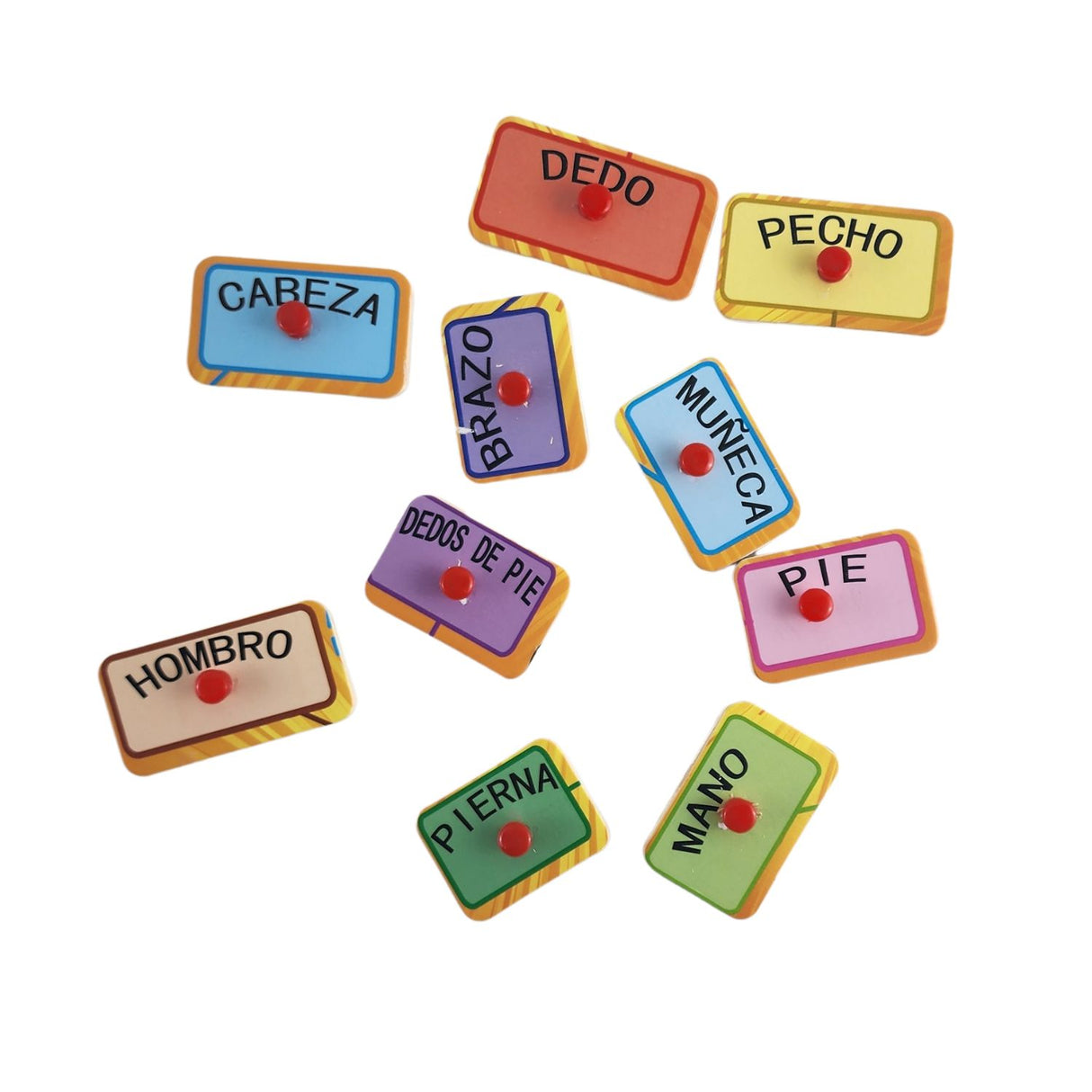 Rompecabezas Didáctico Cuerpo Hombre Madera 30cm Niños. Fomenta el aprendizaje y la creatividad. ¡Compra ahora y diviértete mientras aprendes!-1-3-1-1-1