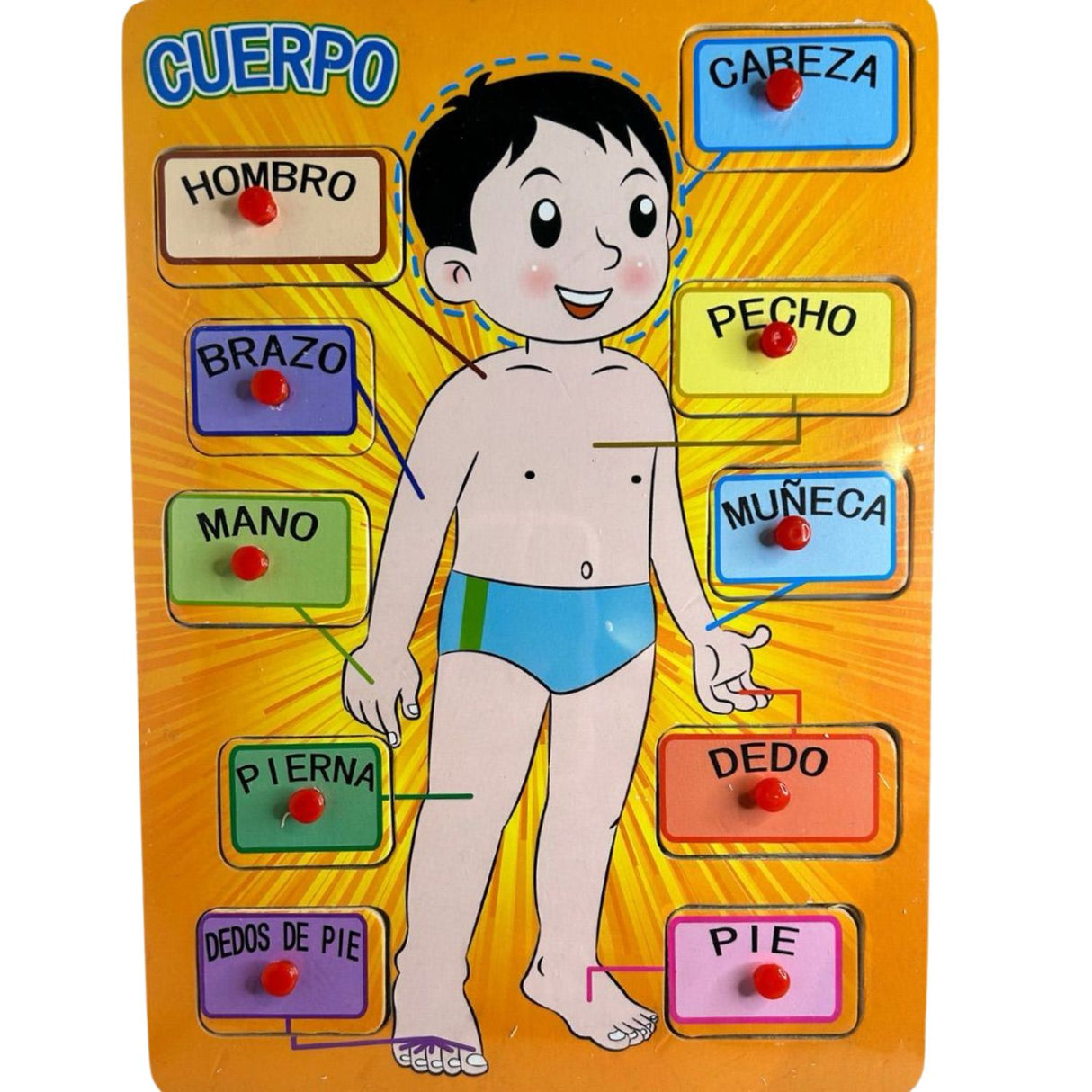 Tabla de Encaje Madera con las Partes del Cuerpo para Niños. Fomenta el aprendizaje y la motricidad. ¡Descúbrelo ahora y divierte a tus pequeños!-1-2-1-1-1