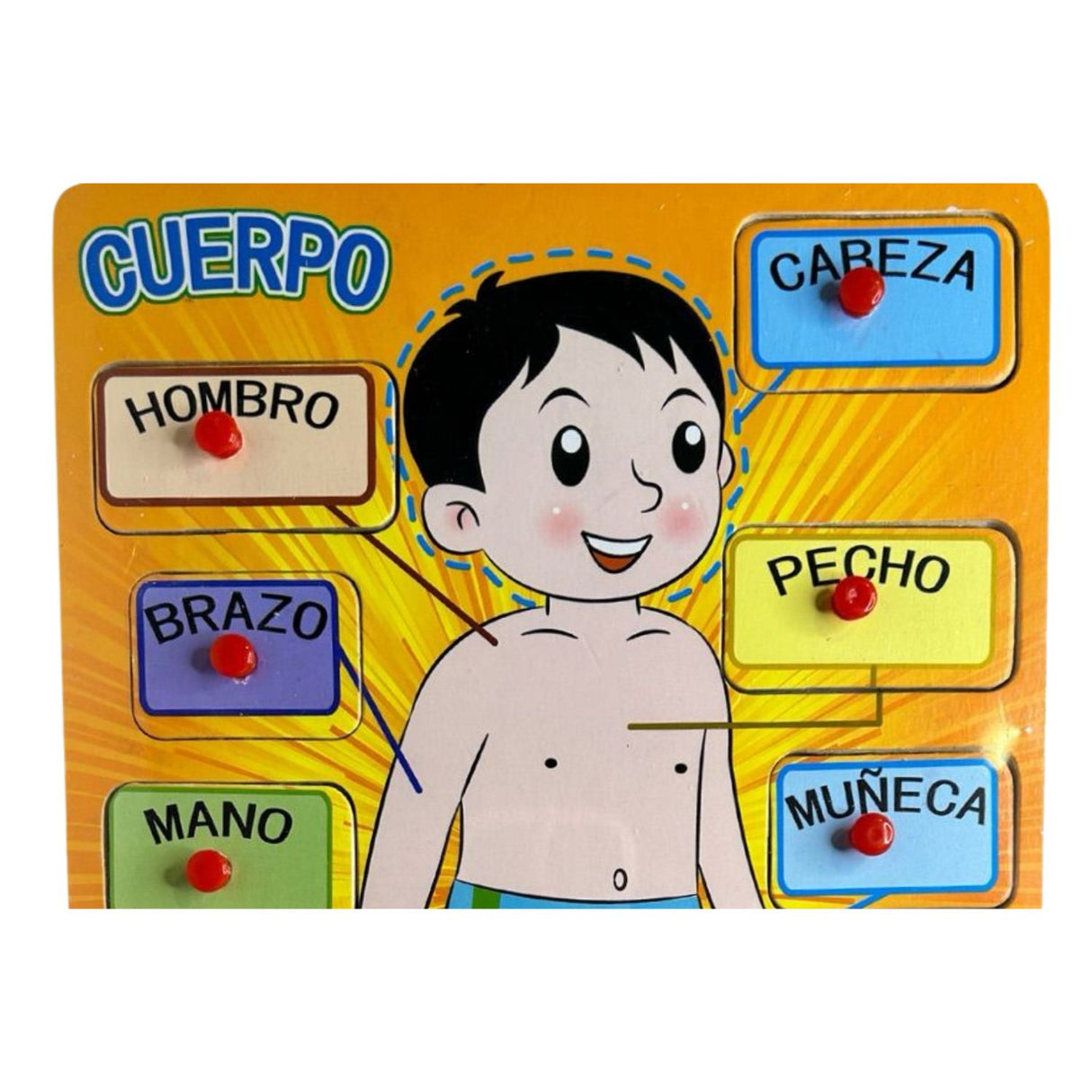 Tabla de Encaje Madera con las Partes del Cuerpo para Niños. Fomenta el aprendizaje y la motricidad. ¡Descúbrelo ahora y divierte a tus pequeños!-1-4-1-1-1