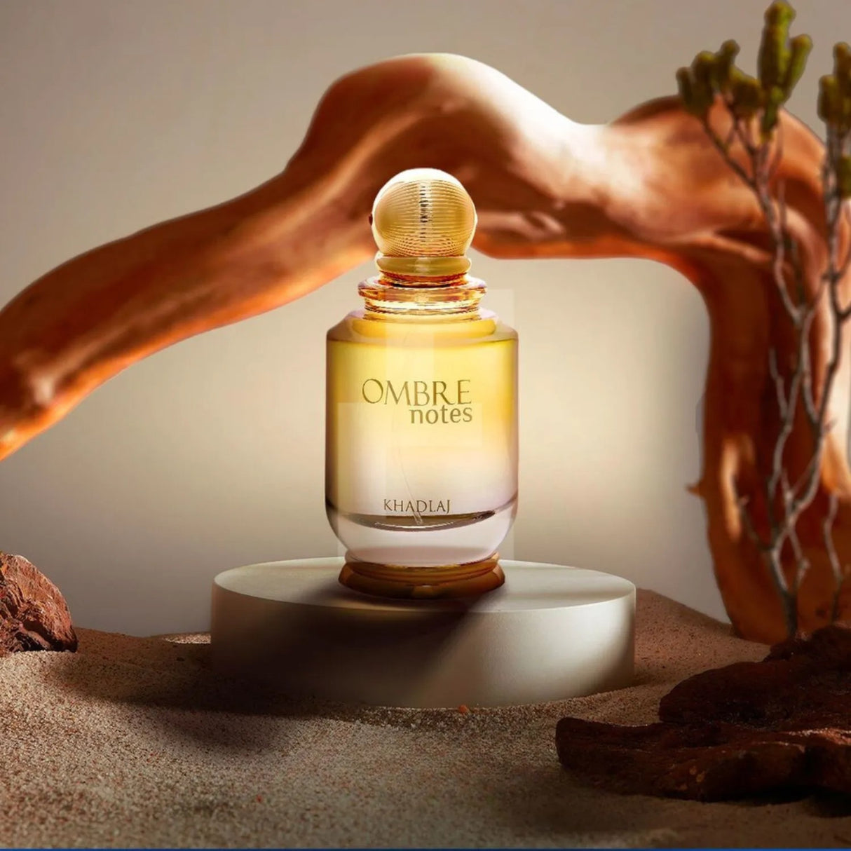 Khadlaj Ombre Notes edp 100ml Unisex, una fragancia cautivadora para todos. Destaca tu personalidad única. ¡Descúbrelo ahora y sorpréndete!-2
