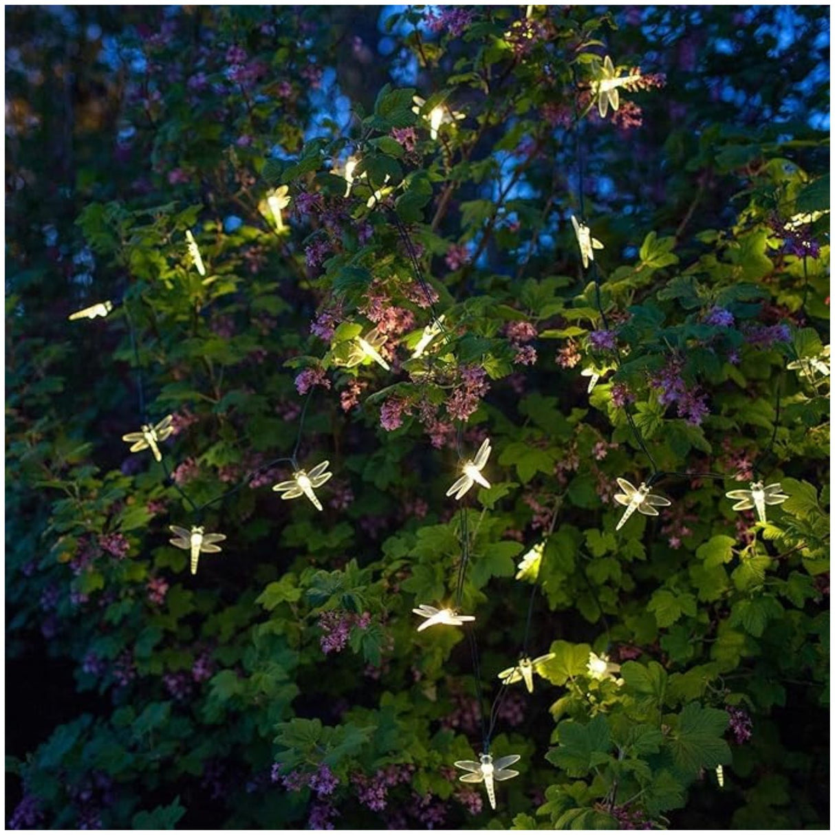 Luces Navidad Libelulas Solar Led Calidas Decoracion Hogar. Crea un ambiente mágico y acogedor en tu hogar. ¡Compra ahora y transforma tu espacio!-4