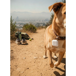 GPS Rastreo Smart Tag Mascotas iOS Blanco