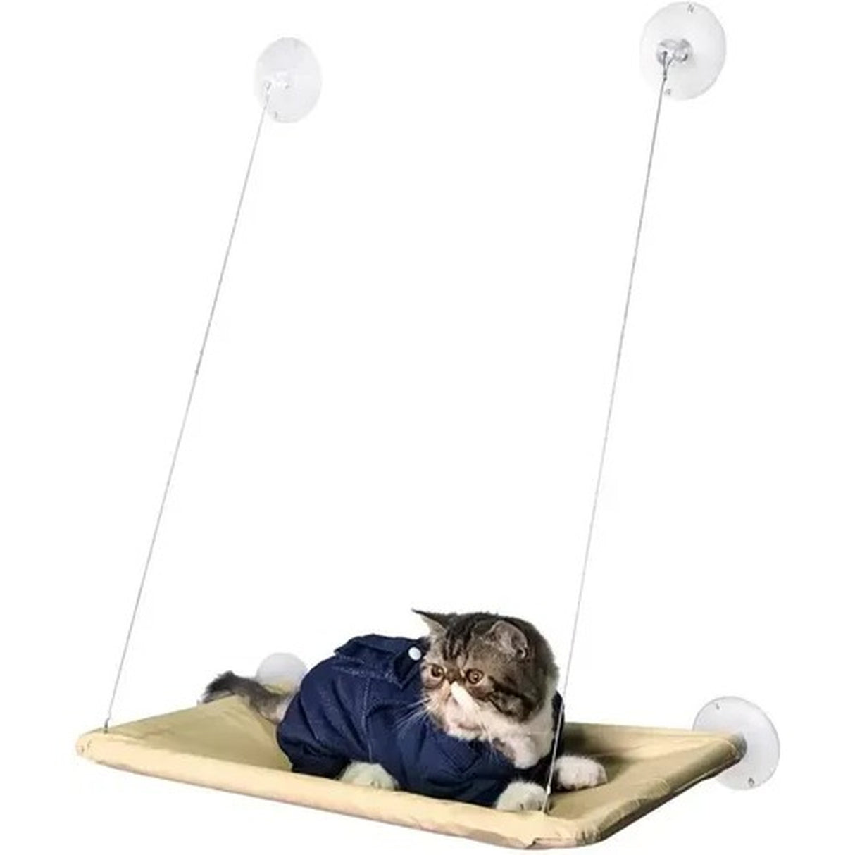 Hamaca Para Gatos Cama De Gato Cama Colgante Ventana
