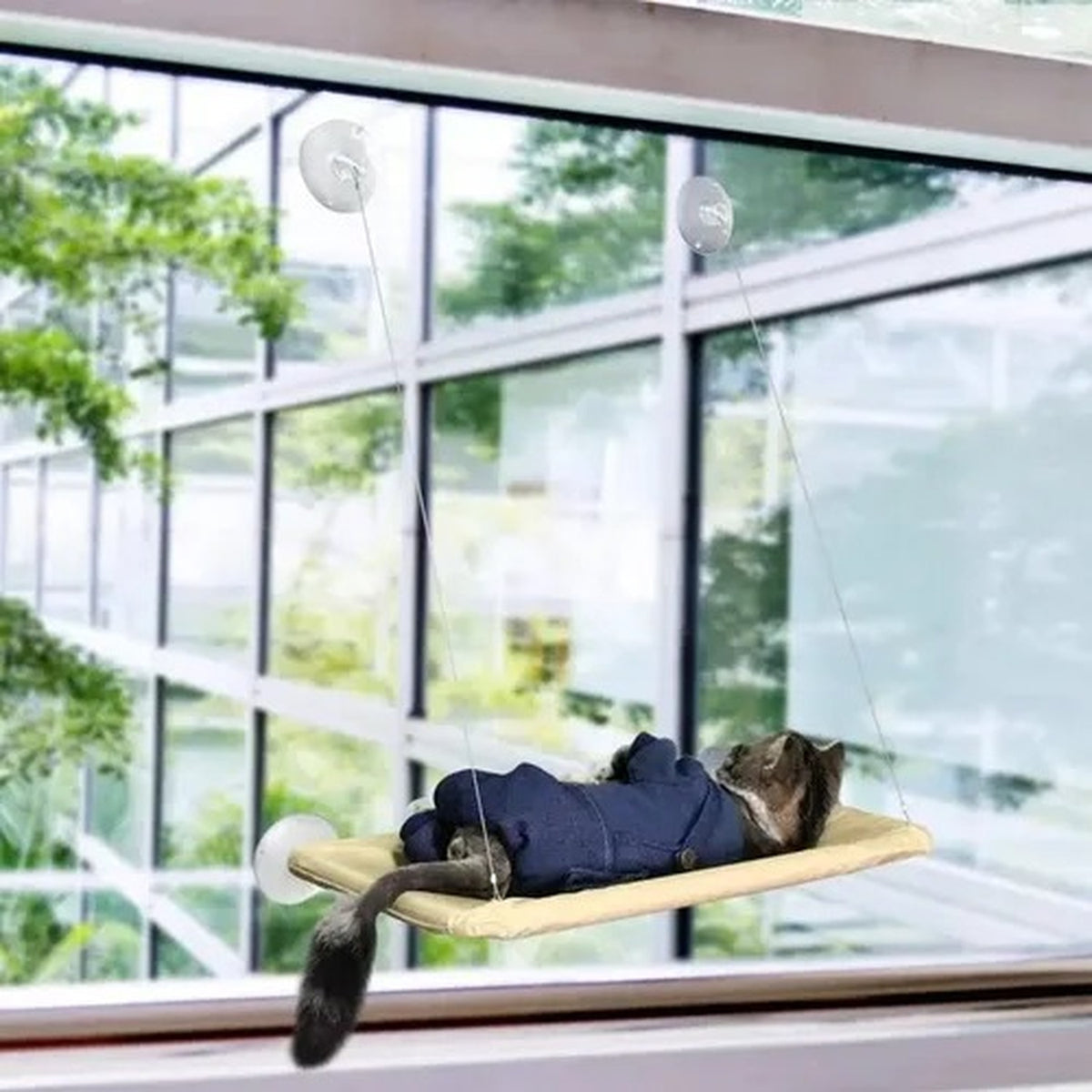 Hamaca Para Gatos Cama De Gato Cama Colgante Ventana
