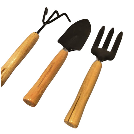 Pack 3 Piezas Herramientas Jardinería Mango Madera Durable

Mejora tu experiencia de jardinería con herramientas ergonómicas y duraderas. ¡Consigue el tuyo y transforma tu jardín hoy mismo!-2