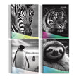 Pack de 6 cuadernos A5 con impactantes imágenes de animales salvajes, tapas duras y espiral. Perfectos para apuntes y planificación. ¡Llévalos contigo, cómpralos ahora!-1