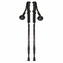 Set 2 Bastones Trekking Antishock Ajustables con Brujula | Disparo.cl