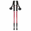 Set 2 Bastones Trekking Antishock Ajustables con Brujula | Disparo.cl
