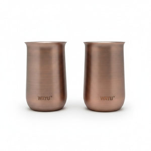 Set 2 Vasos Aperitivo Acero Inoxidable 230mL Wayu
