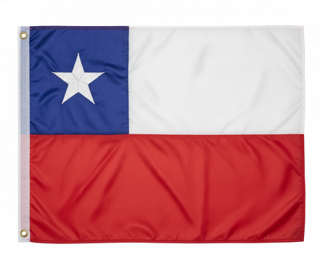 Bandera chilena 60x90 bordada estrella reforzada vista frontal producto