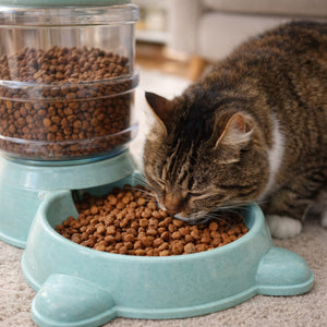 Comedero para Perro Gato Mascotas Desarmable Plástico | Disparo.cl