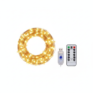 Cortina luces LED 300 LED USB control remoto cálida vista frontal fondo blanco