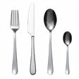 Set Cuchillería 24 Piezas Acero Inoxidable Cardiff | Disparo.cl