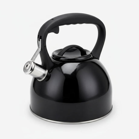 Tetera acero inoxidable negra Wens Selene 3 litros con silbato vista frontal